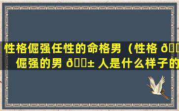 性格倔强任性的命格男（性格 🕷 倔强的男 🐱 人是什么样子的）